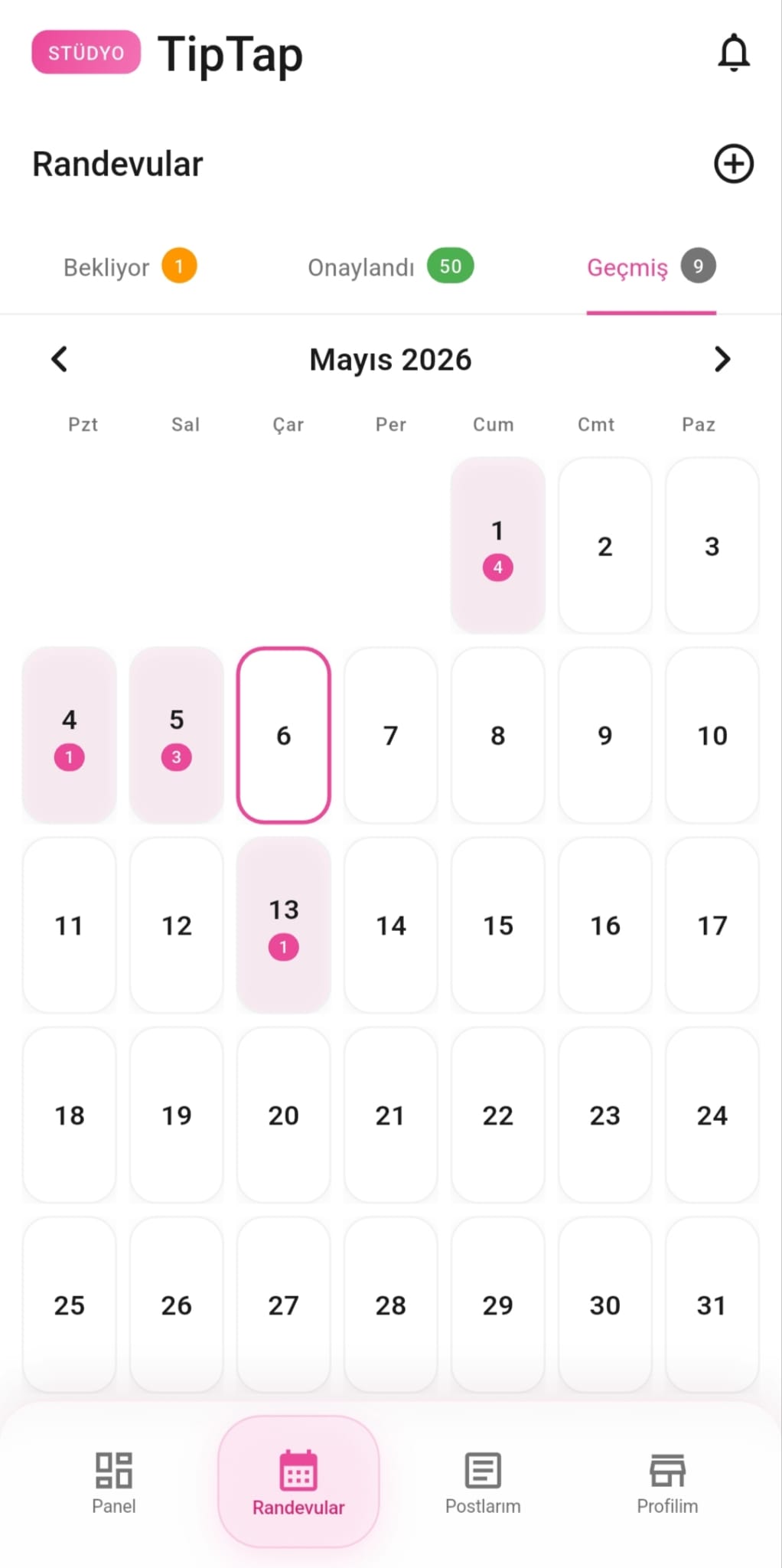 Tiptap — tamamlanmış, geçmiş randevu kayıtları